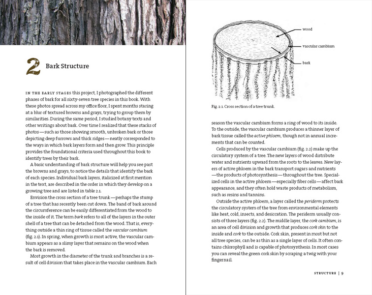 a closer look at tree bark, with michael wojtech - A Way To Garden